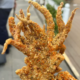 frysquid